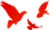 640.png